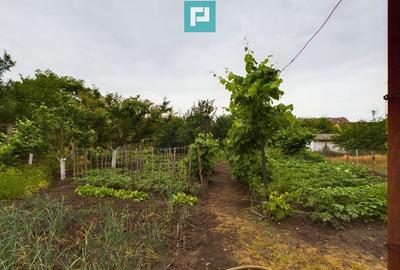 Casa ideala pentru o familie numeroasa, Santana - 5