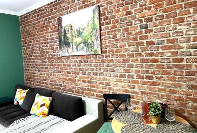 Apartament 2 camere + Garsoniera , 2 unitati , ULTRACENTRAL , zona pietonala - 7