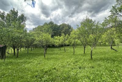 Teren intravilan 3102mp zona Racovita-Blanoiu - 6