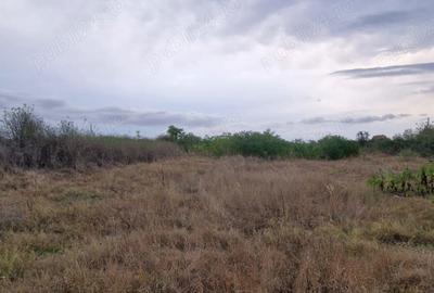 Teren de 5527 mp, în Saraiu - 1