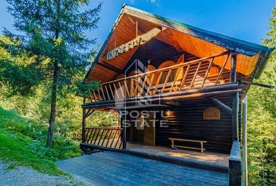 Casă cu 6 camere cu Teren 120 Mp în Râu de Mori - 4