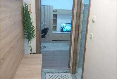 Inchiriez apartament cu o camera - 5