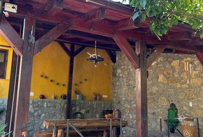 Loca?ie de vis! Sasca Montana Loca?ie de vis! Sasca Montana - 2