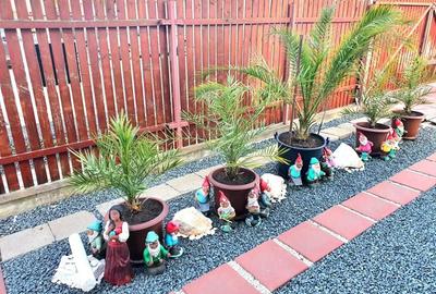 Casa individuala - Dumbravita Casa individuala - Dumbravita - 14