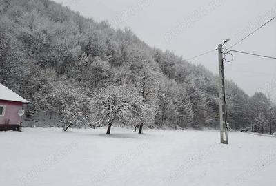 Casă cu 2 camere în Lunca Vișagului - 3