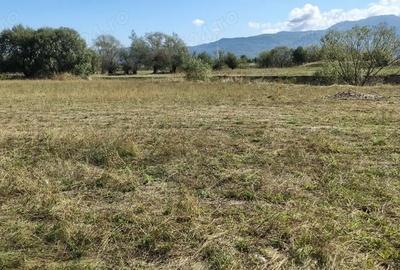 Teren de 7500 mp, în Vulcan - 2