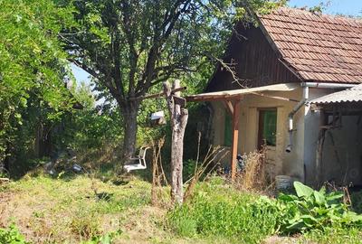Casa de vanzare Diosig - 5