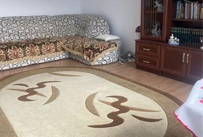 Apartament cu 2 camere decomandat în Paltiniș - 4