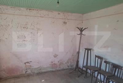 Casă cu 2 camere cu Teren 5000 Mp în Mogoșani - 8