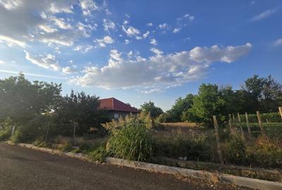 Casă cu 4 camere în Traian