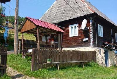 Casă cu 4 camere cu Teren 115 Mp în Albac - 6