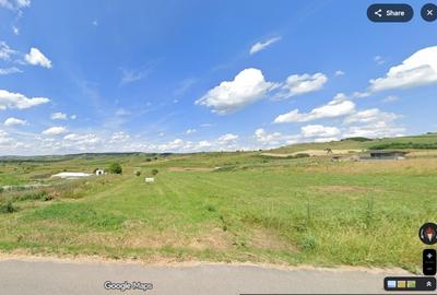 Teren extravilan 2900mp si 14ml front zona Salistea Noua - 1