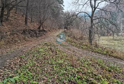 Teren Straja - Pangarati 3560 m, zona de Pensiune Teren Straja - Pangarati 3560 m, zona de Pensiune - 6