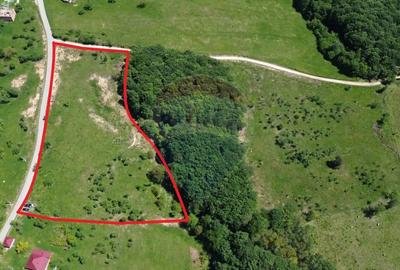 Teren de 30670 mp, în Codru Butesii - 5