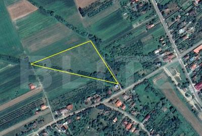 Teren de 13600 mp, în Central