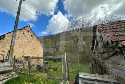 Casă cu 4 camere cu Teren 12186 Mp în Boiu - 7