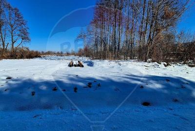 Comision 0 %/ Teren extravilan 3197 mp pitoresc/ Fagaras - 8