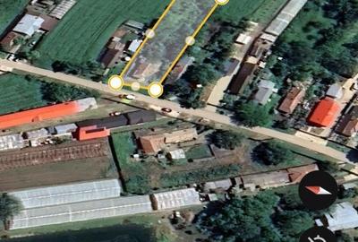 Casă cu 3 camere cu Teren 4800 Mp în Balta Doamnei - 4
