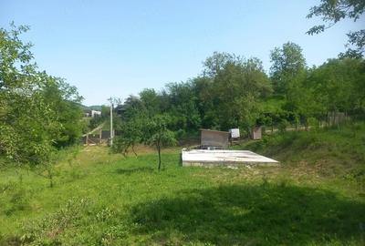 Teren de 2225 mp, în Provița de Jos - 3