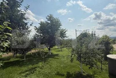 Casă cu 4 camere cu Teren 8000 Mp în Central - 5