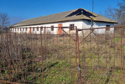 Spațiu comercial, de 450 mp, în Băbăița - 4
