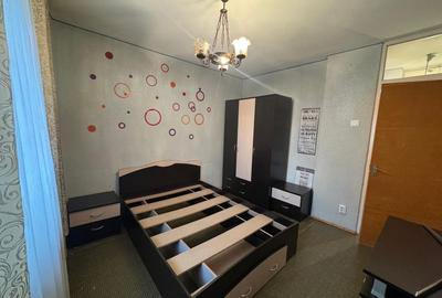 2 Camere Campia Libertatii Pet friendly - 6