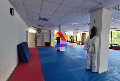 Cladire mixta - cu chiriasi- 1053 mp #plus-imo.ro - 3