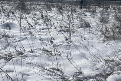 Spațiu comercial, în Cristian - 3