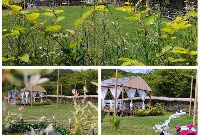 Spațiu comercial, în Feleacu - 4