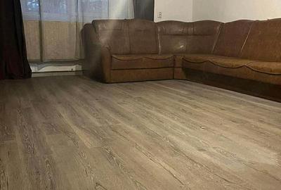 Casă cu 2 camere cu Teren 3023 Mp în Gepiu - 2