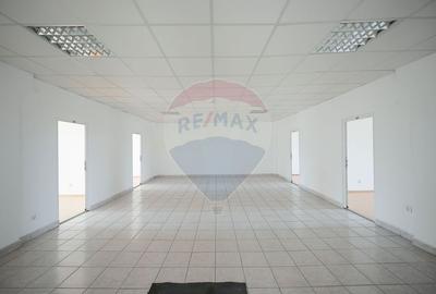 De vanzare Spatiu industrial de 10 129 mp Soseaua Borsului - 10