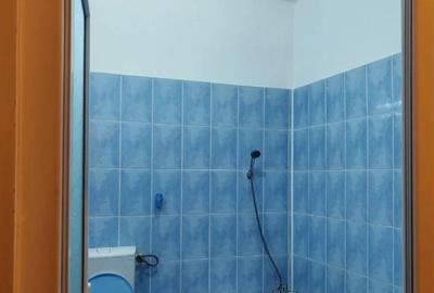 Giurgiului dedeman nicolae dragan Giurgiului dedeman nicolae dragan - 2