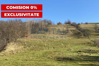 Teren agricol intravilan de 35000 mp, în Șardu