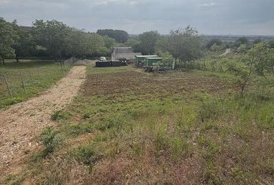 Teren de 4150 mp, în Biharia - 4