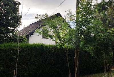 Vanzare 3 case moderne + 3 anexe si 2000 mp teren gradina, pomi in Tuzla la mare - 22