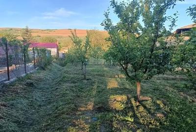 A 13. 20000 mp teren ?i 3 constructii casa in judetul Bacau - 6