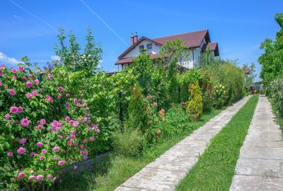 Casă individuală cu 8 camere cu Teren 1898 Mp în Corbeanca - 26