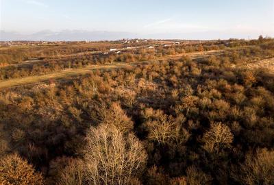 Teren intravilan de 4333 mp, în Săldăbagiu de Munte - 12