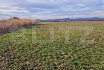 Teren de 8700 mp, în Central - 2