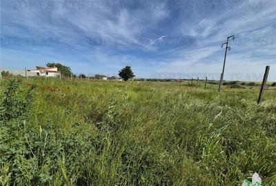 Teren intravilan Techirghiol - 5