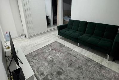 Apartament cu 2 camere în Valea Rosie - 4