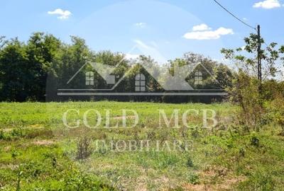 Vila Ialomita -Livedea lac - 18