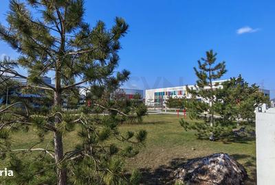 Apartament cu 2 camere în Dudu - 14