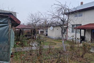 Vila P+E si teren intravilan 1,5Ha,cu zavoi+iaz,lac peste si livada-investitie - 3