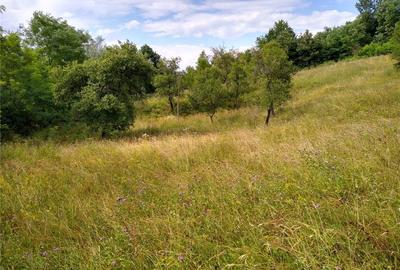 Teren de 4700 mp, în Romos - 6