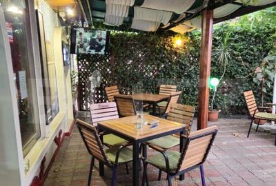 Spatiu comercial, 100 mp, terasa, Bld. Castanilor Spatiu comercial, 100 mp, terasa, Bld. Castanilor - 8