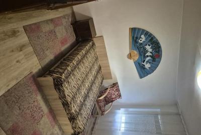 Apartament cu 2 camere semidecomandat, mobilat în Parcul Carol - 2