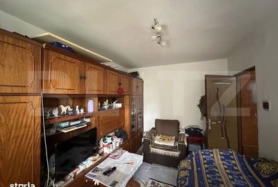 Apartament cu 3 camere decomandat în Botiz - 4