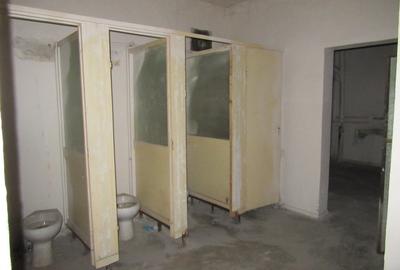 Spațiu comercial, de 630 mp, în Iancului - 29