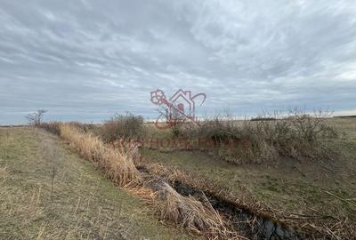 Teren 5.000 mp centura Calea Sagului- Freidorf. Comision 0 - 4